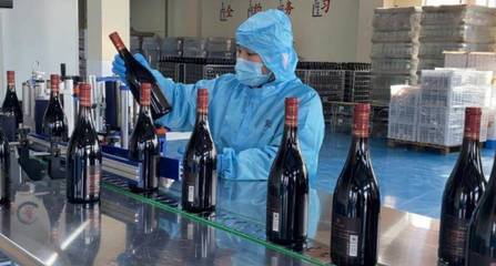好品山东|青岛西海岸新区:着力做强精深加工 加快蓝莓全产业链发展