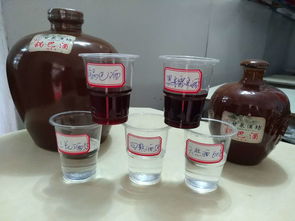 米酒白酒果酒梅子酒柠檬酒黄皮酒葡萄酒百香果酒捻子酒散装瓶装厂家直销诚招代理批发
