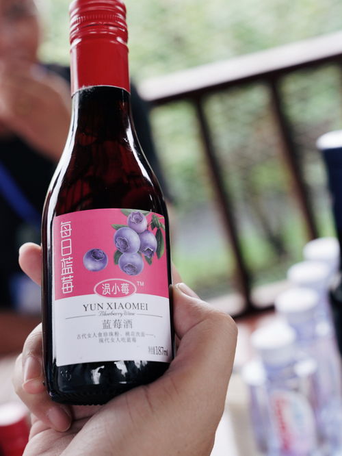湖北安陆赵棚镇 小蓝莓带村民脱贫致富,昔日荒山成金山银山