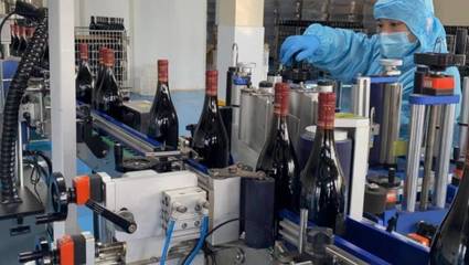 好品山东|青岛西海岸新区:着力做强精深加工 加快蓝莓全产业链发展