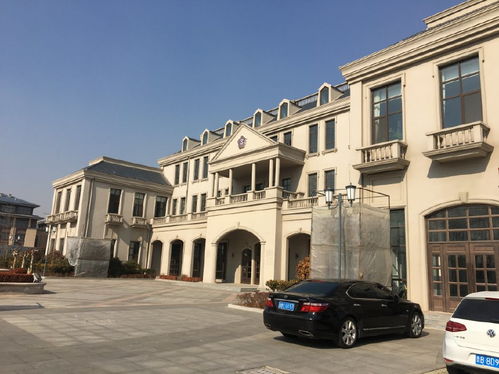 回家过年带健康,紫斐蓝莓酒适合家人朋友齐分享