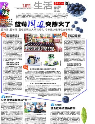 青岛报纸电子版