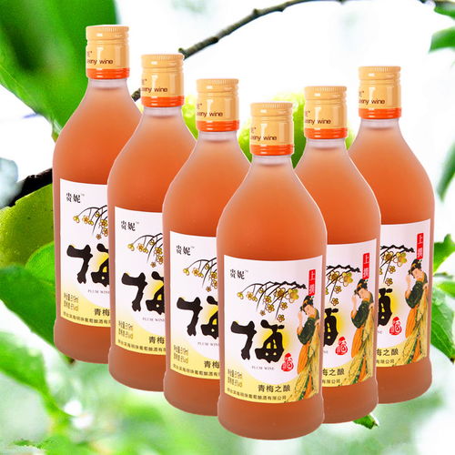 二瓶 贵妮杨梅酒青梅酒蓝莓酒 鲜果之酿果酒