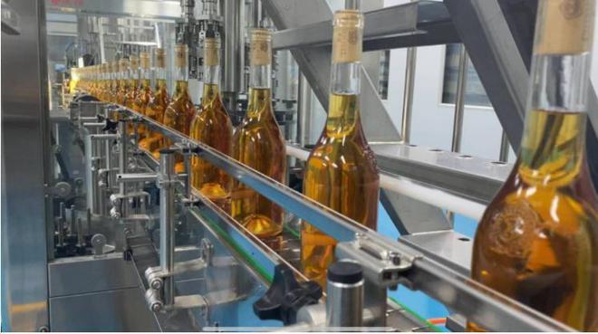 青岛紫斐:匠心筑梦,打造蓝莓酒界的中国“拉菲”
