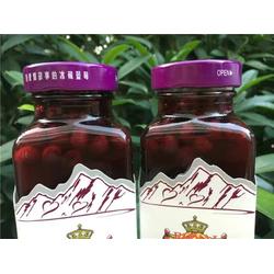 1255蓝莓果汁厂家 1255蓝莓果汁 德饮德国啤酒