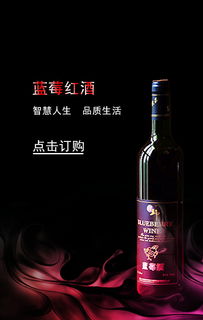 蓝莓红酒微场景