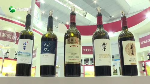 宜宾人,这个地方一定要去,美女加美酒好热闹 视频 玉鑫