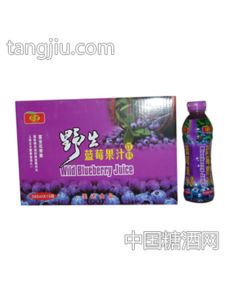 1x15395ml蓝莓果汁招商 建平县美达食品饮料厂 糖酒网tangjiu.com
