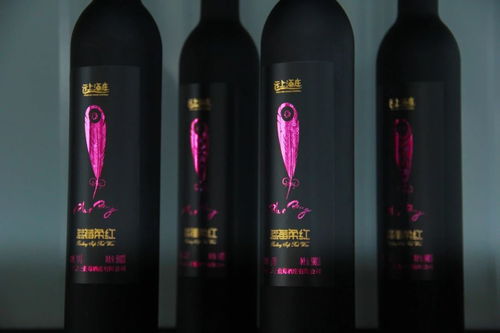 不争朝与夕,只喝贵州云上酒庄蓝莓酒