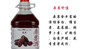感恋杨梅果酒蓝莓桃花酿荔枝桑葚低度少女自酿水果酒10度2.5l果味