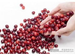 青岛进口干果清关代理公司 青岛进口红酒代理清关公司