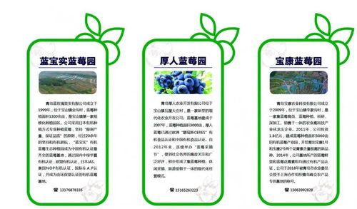 青岛市唯一入选 新区宝山镇获第十批全国 一村一品 示范村镇