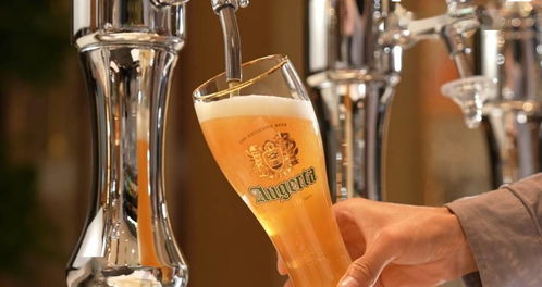 青岛 啤酒之都的蓝莓酒新篇——第31届青岛国际啤酒节盛大启幕